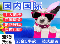 于田万方空运国际宠物托运 【国